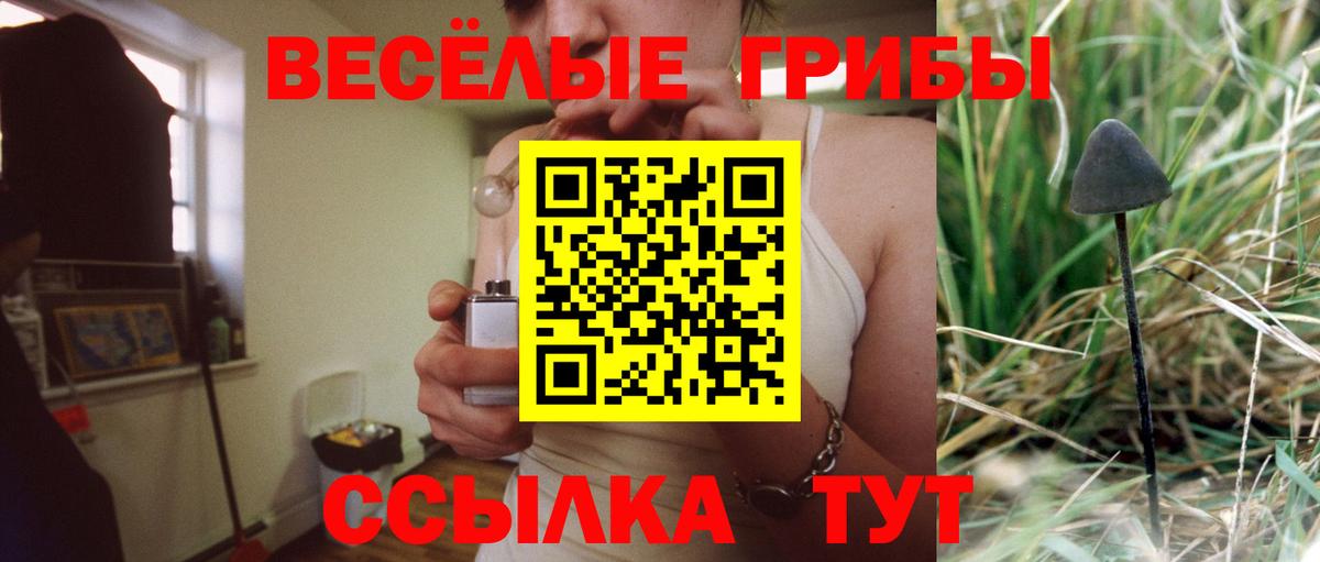 Псилоцибиновые грибы прущие грибы Полысаево