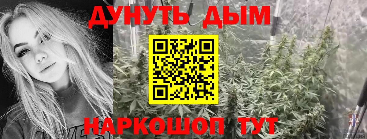 Каннабис план Полысаево